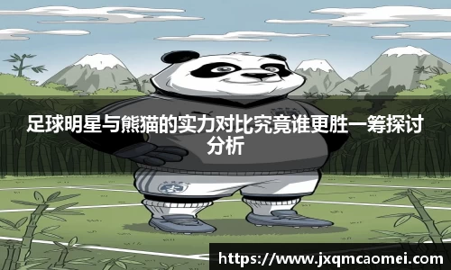 足球明星与熊猫的实力对比究竟谁更胜一筹探讨分析